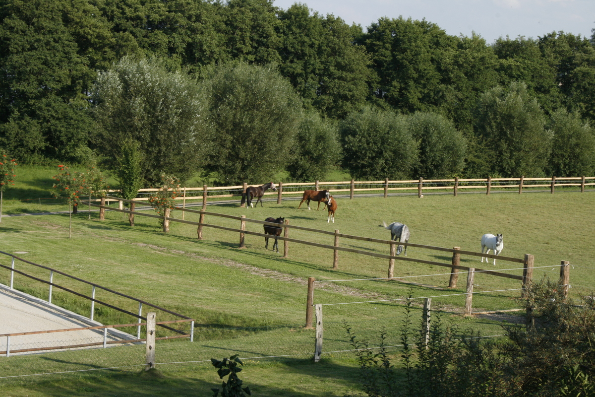 a44634a0b806ef7fa123e0d54bd20398_1200_1200_0