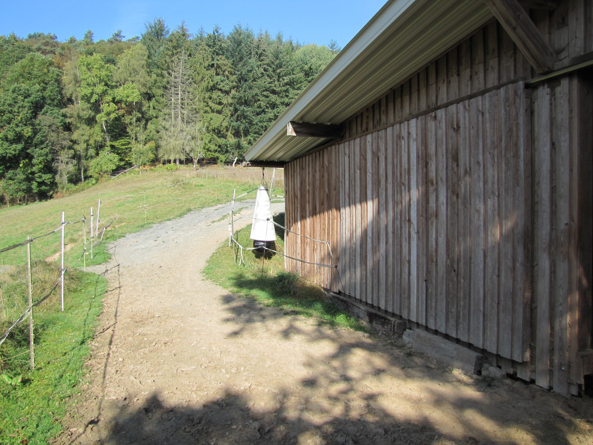 a9177e6f32520563a6b91d8ca3ef6d69_1200_1200_0