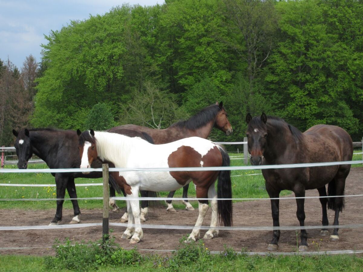 a9351b8d3e0f328eab5d19a3a75d73fd_1200_1200_0