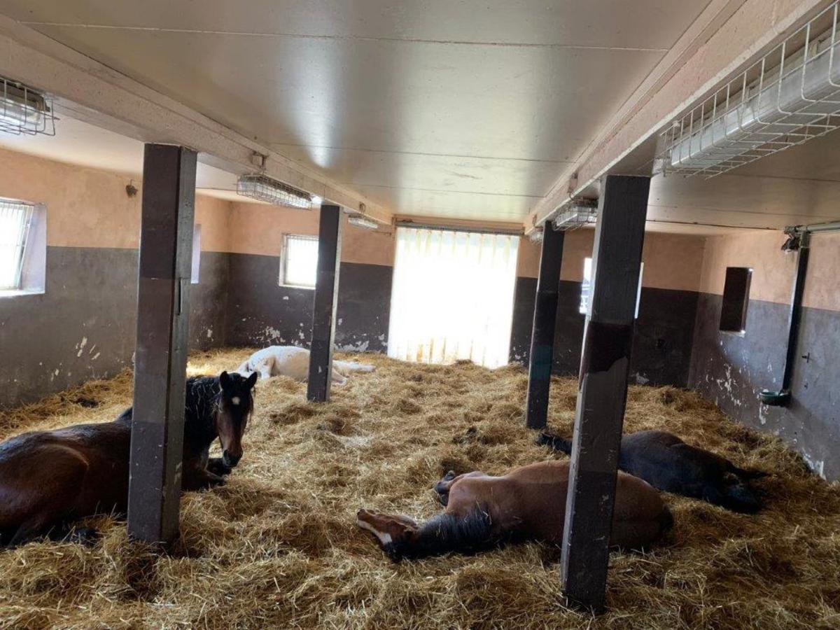 ac3de8426383cb03381a05a3bdba549f_1200_1200_0