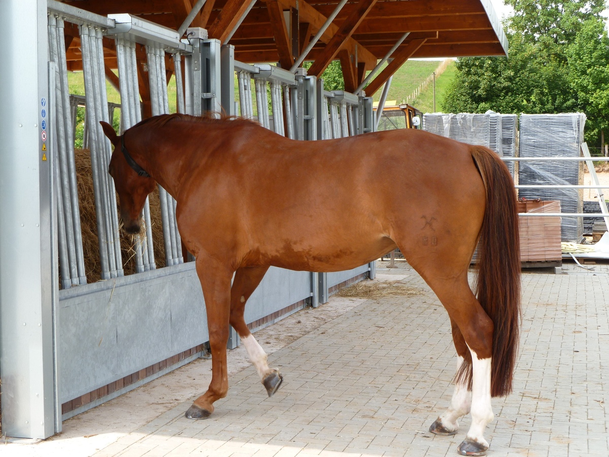 af40517f0479670e6a477da72e47dbcc_1200_1200_0