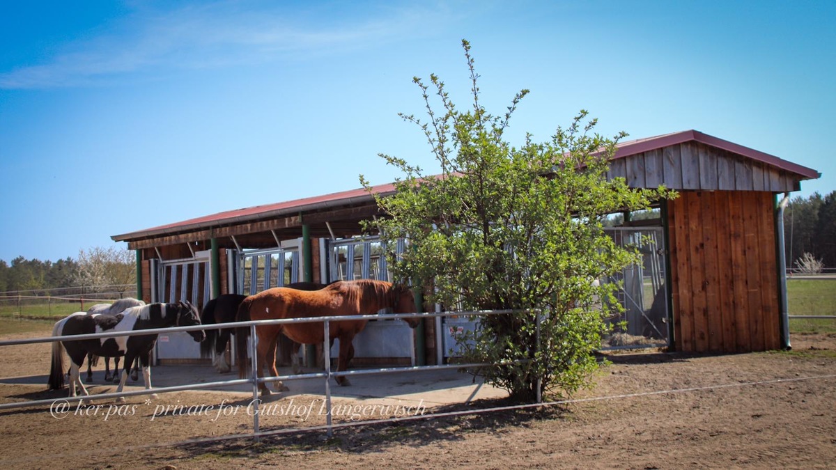 b129ae3c0c8c92519fcd6d19830b23bc_1200_1200_0