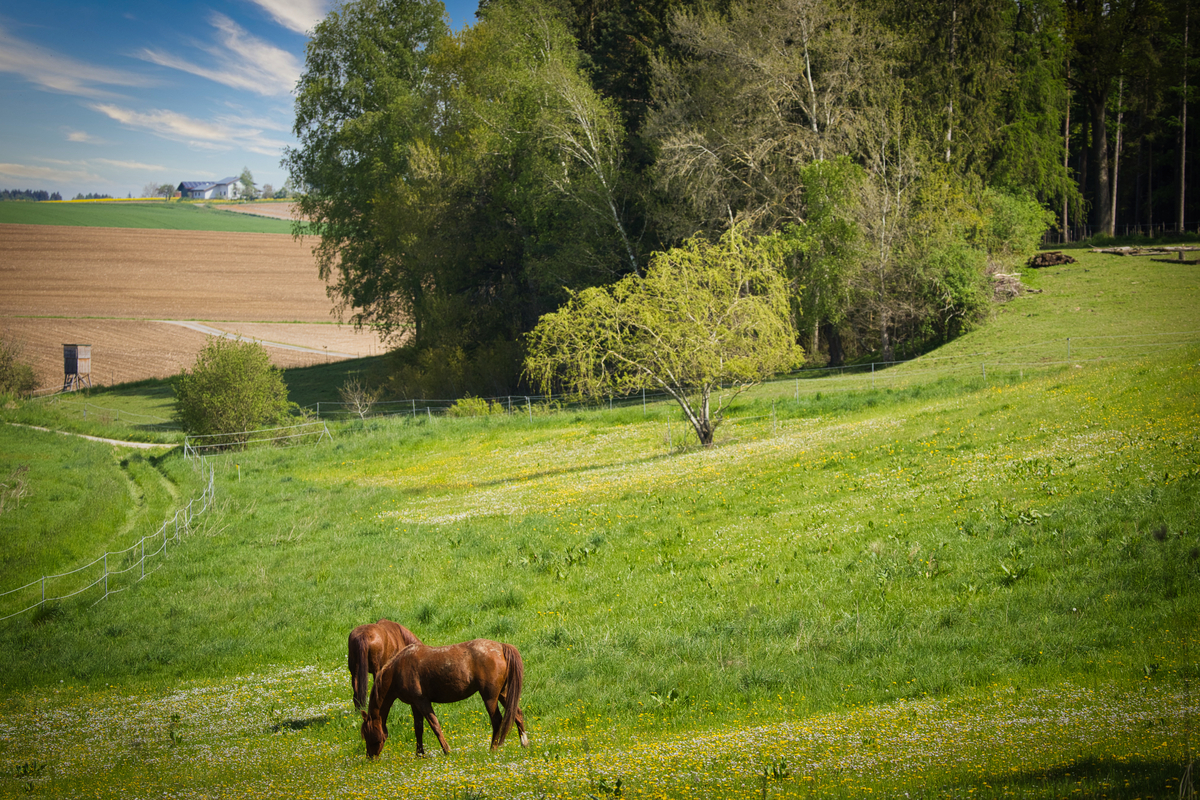 b131027404c28424e017c294b9e787b3_1200_1200_0