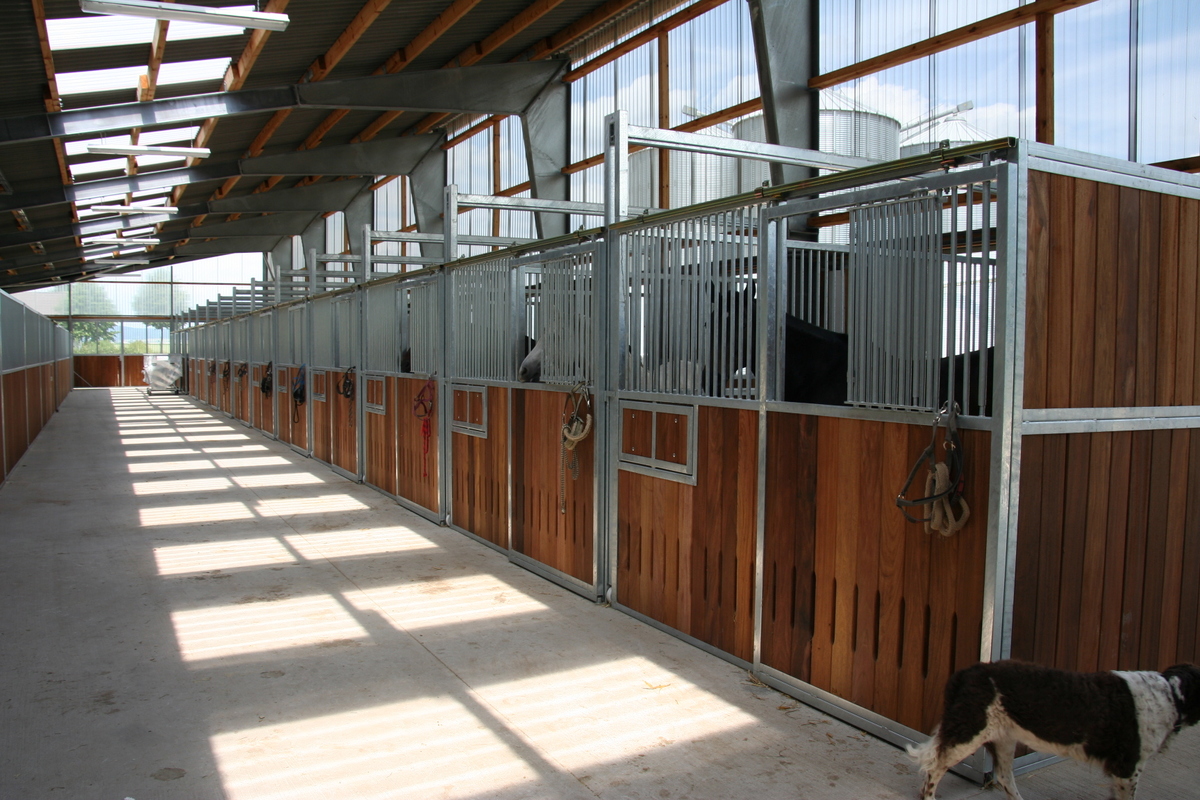 b40b127fe25f32d2fe67e4d5cc7001b0_1200_1200_0