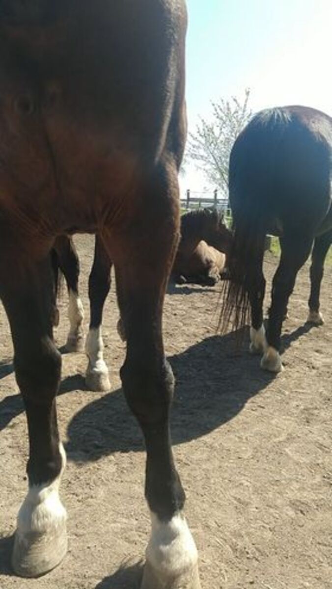 b436e99697d159c61d70081fe72b2184_1200_1200_0