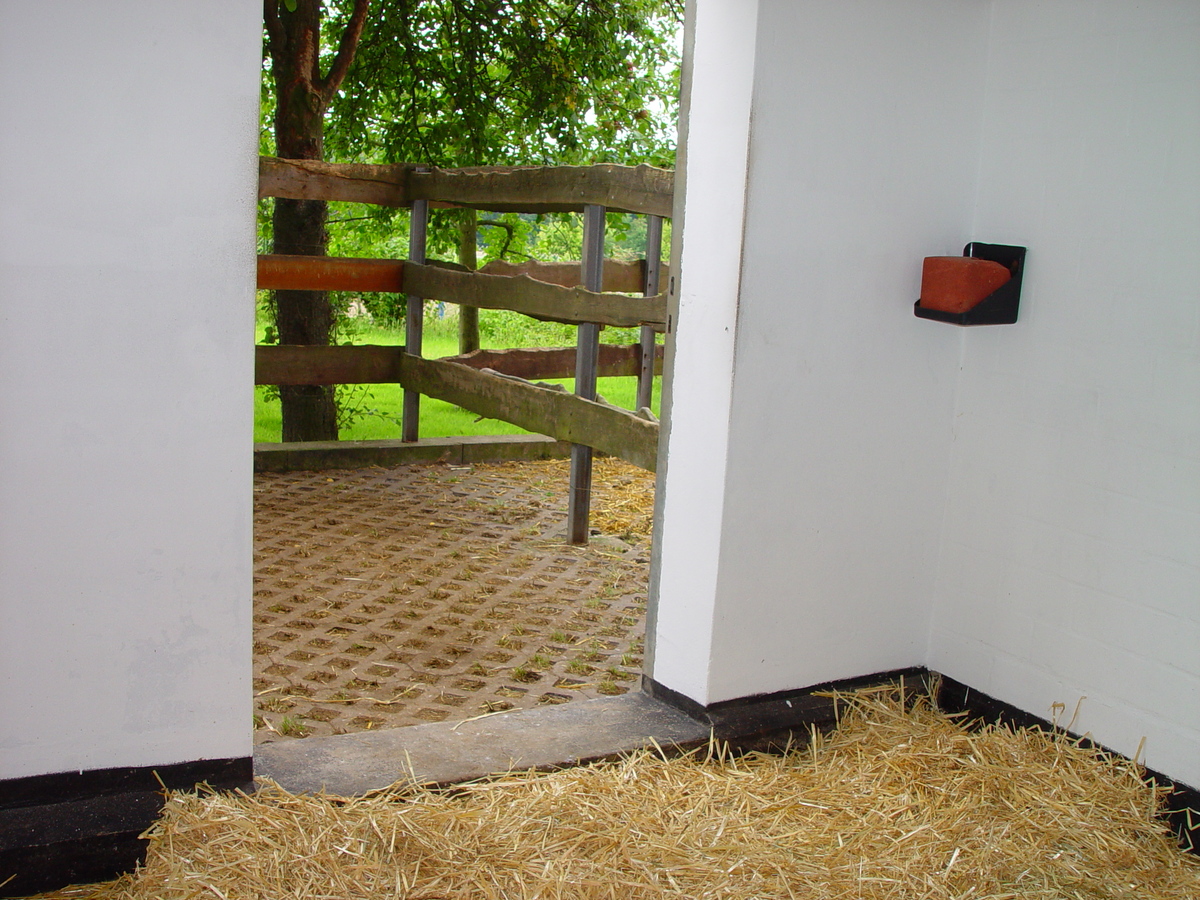 b5033e0995a91de5ac5ab9cd44e260ac_1200_1200_0