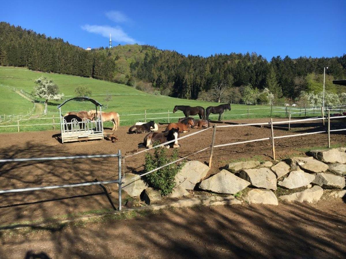 b9a2dcc379cfe202ca2e6ed914575505_1200_1200_0