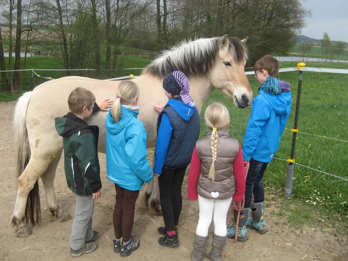 bca1197ea3c4eff53686106c0d233fc8_1200_1200_0