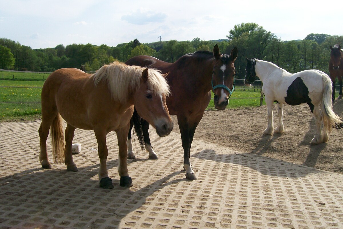 c51b4fc814bf7d1c1f9b42e71809feee_1200_1200_0