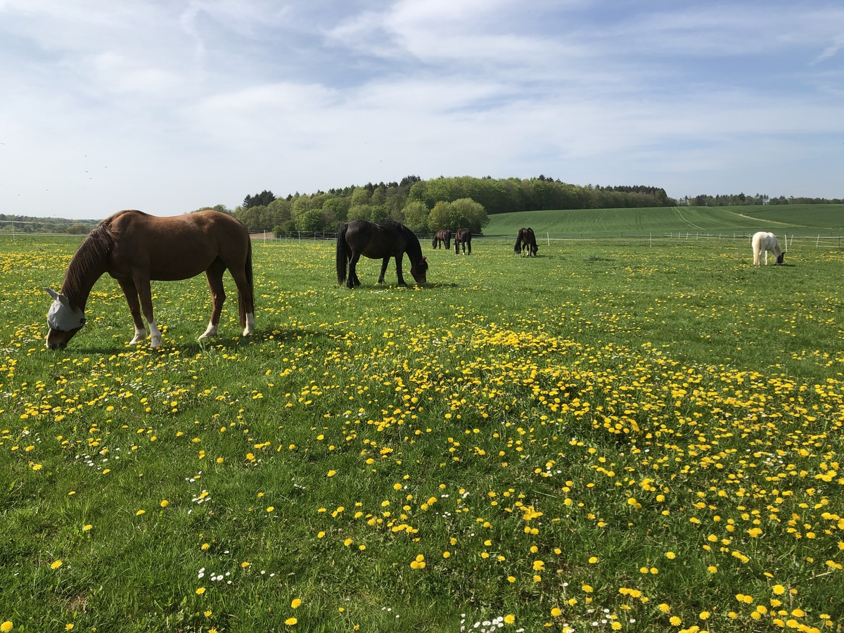 c70f1d1605834739dc676da4f9893c29_1200_1200_0