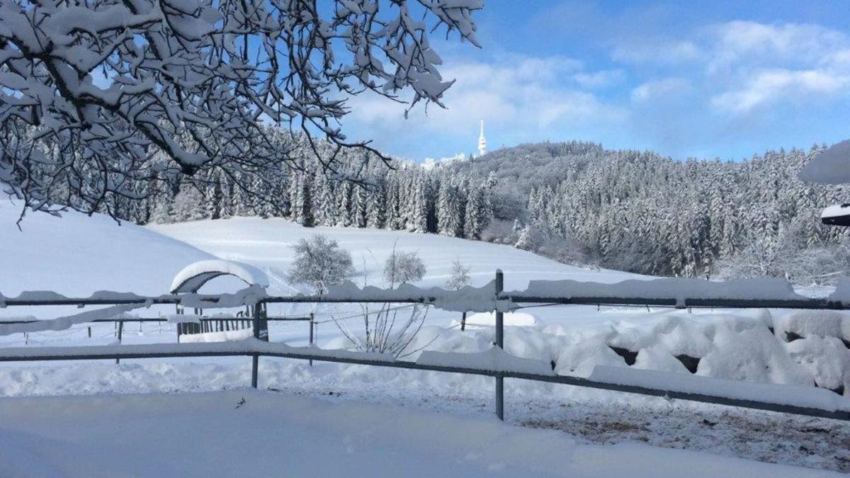 c9bd6360768bdde05a76b16487d2926e_1200_1200_0