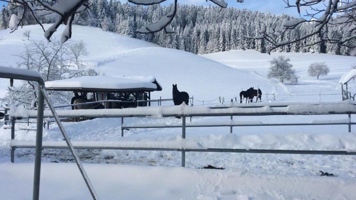 ce69e1f8849c7b09c93d497909035faa_1200_1200_0