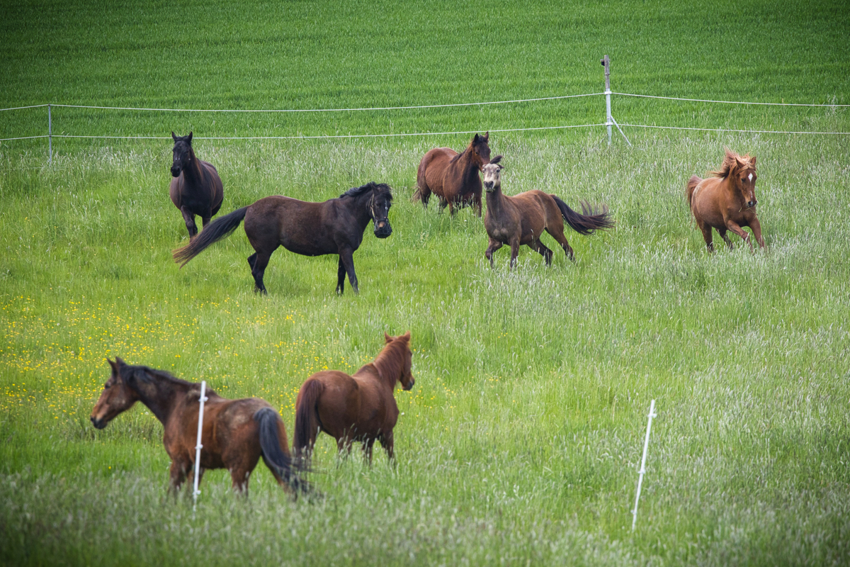 cfcae52e8928ed7eb2787be5439281b3_1200_1200_0