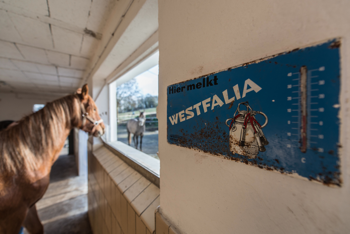 d7dd63afff0e4c7fb2613b20d9076905_1200_1200_0