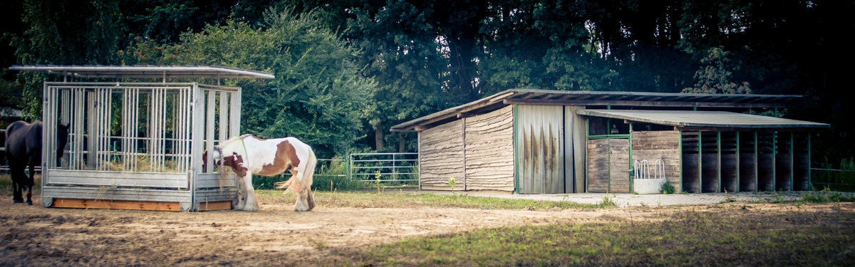 daa539d67e5ecf0c81079a56f5cb1aa7_1200_1200_0