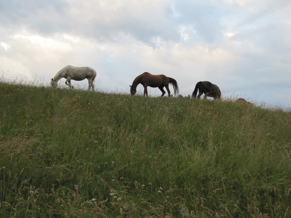 db214984cfffc00a8b7a2def11d33ee7_1200_1200_0