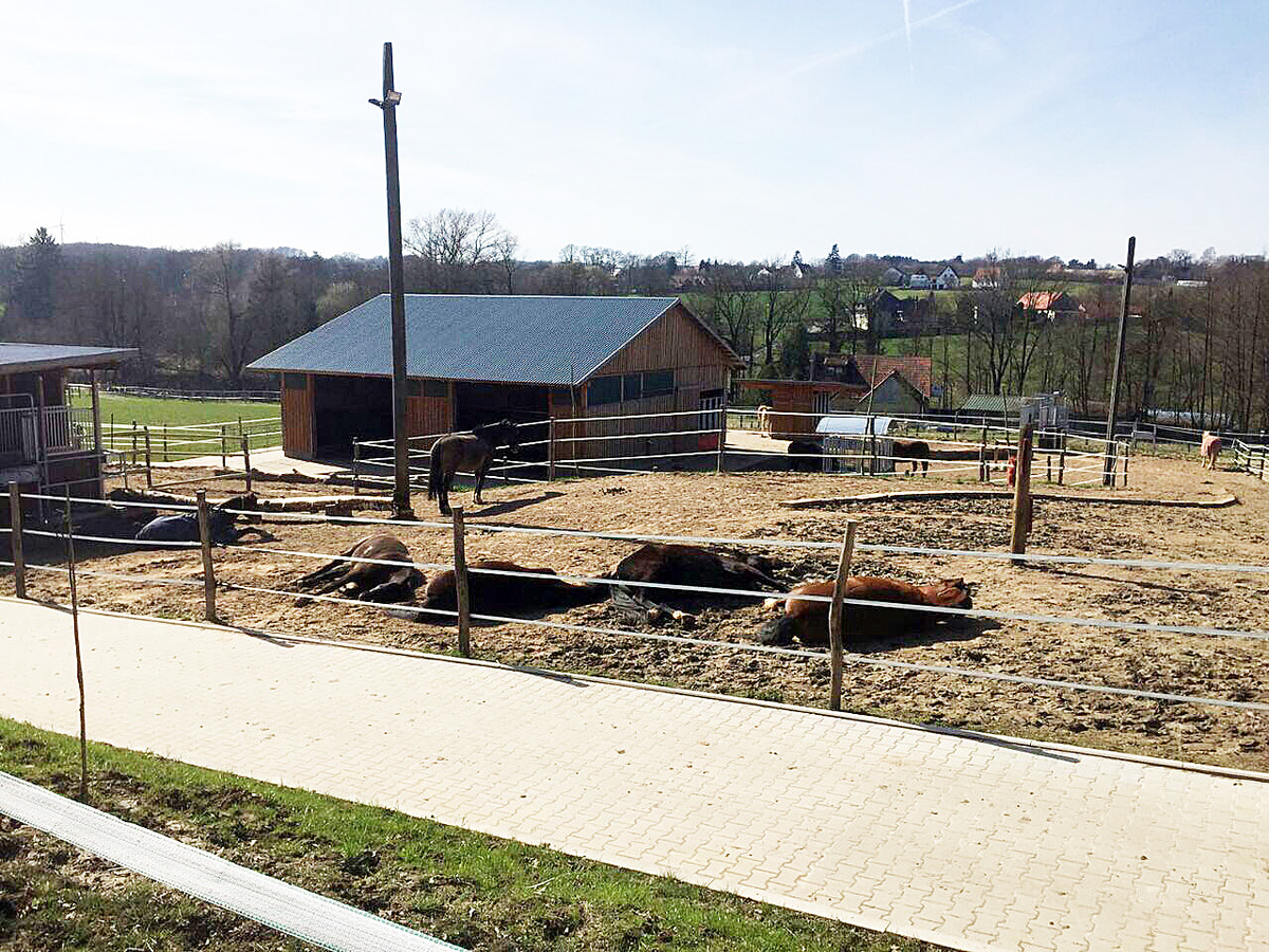 df9b3fd7744d33d3536698b0448e6dd9_1200_1200_0