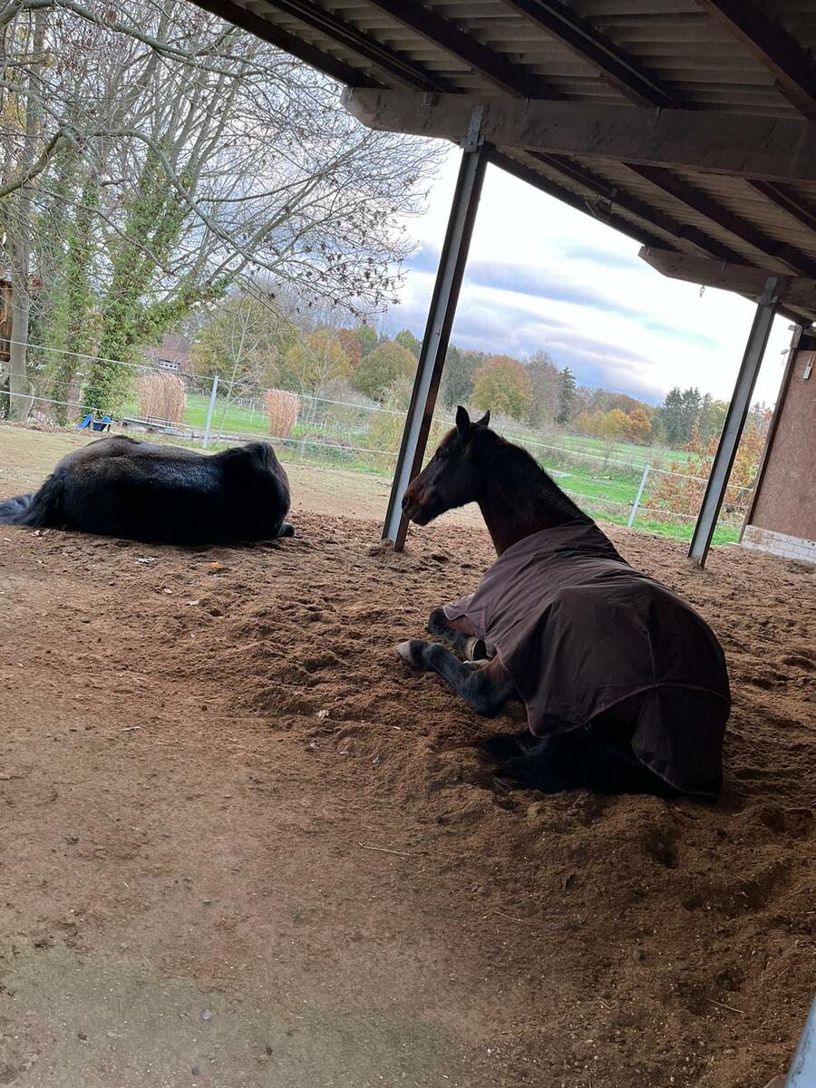 dfc8ebb1ef8961e591f6bc4fba97d73d_1200_1200_0