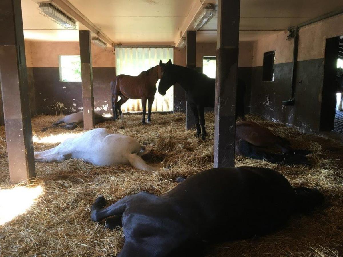 e5193a82a40681fcc0801463c17b5be7_1200_1200_0