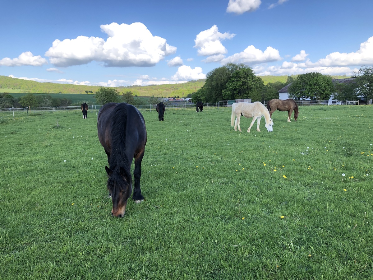 e73cc3378c11dd516cc28aa74b43455e_1200_1200_0