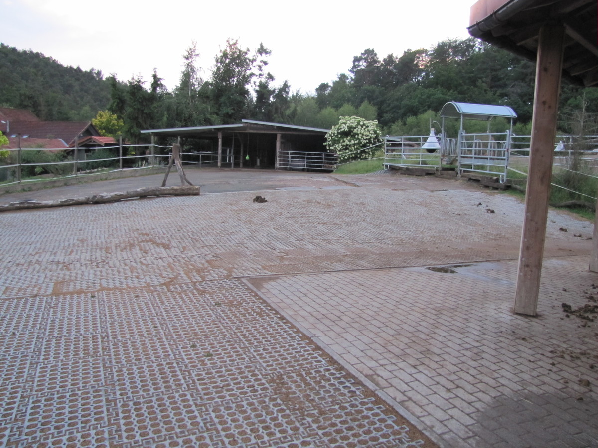 e86b62e4561d488c5d6bc0c3e7816d28_1200_1200_0