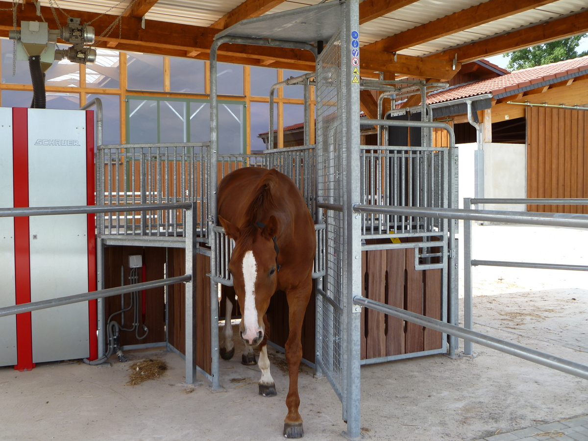 e86b898193b73beb7c407cec52acdba5_1200_1200_0