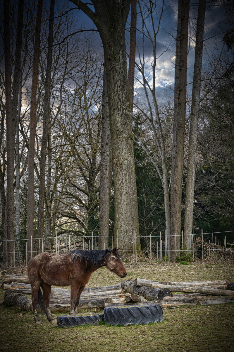 e8b1c3f7628d47604f05d79d044d6092_1200_1200_0