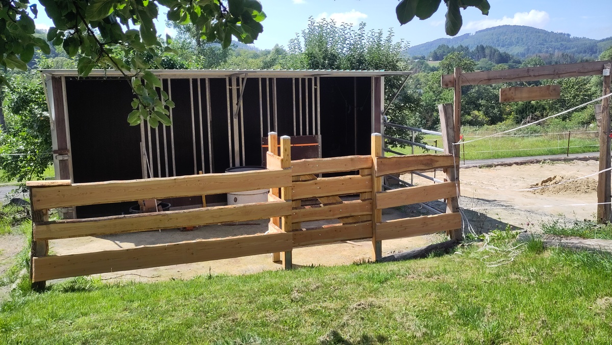 e97a37a044f08c969612348ce7e46a0c_1200_1200_0