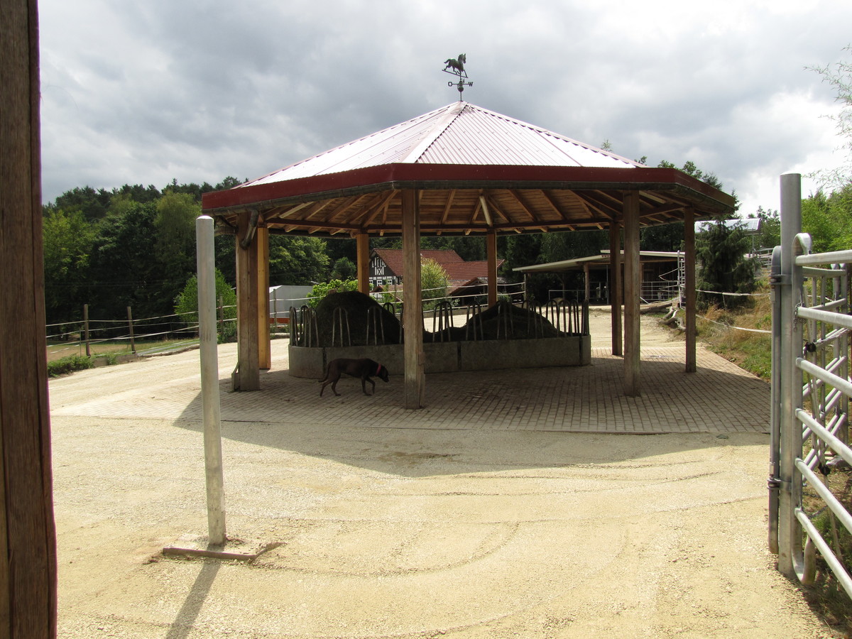 ee5cceab5efa6a1e1f9980f4633b9019_1200_1200_0