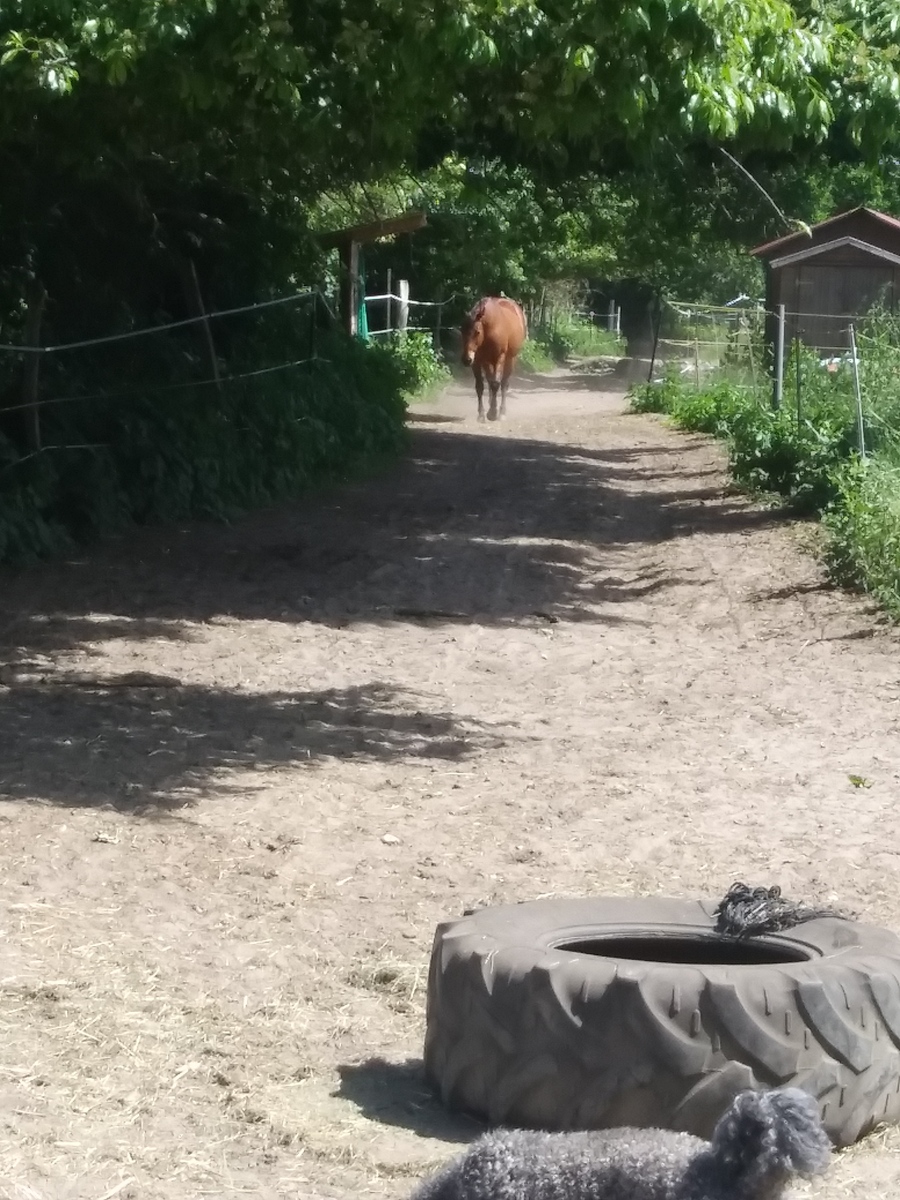 f3d233e44f0f78c0d24528a616701840_1200_1200_0