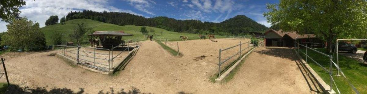 f69b89ef399647bbd91b5541d8fe8931_1200_1200_0