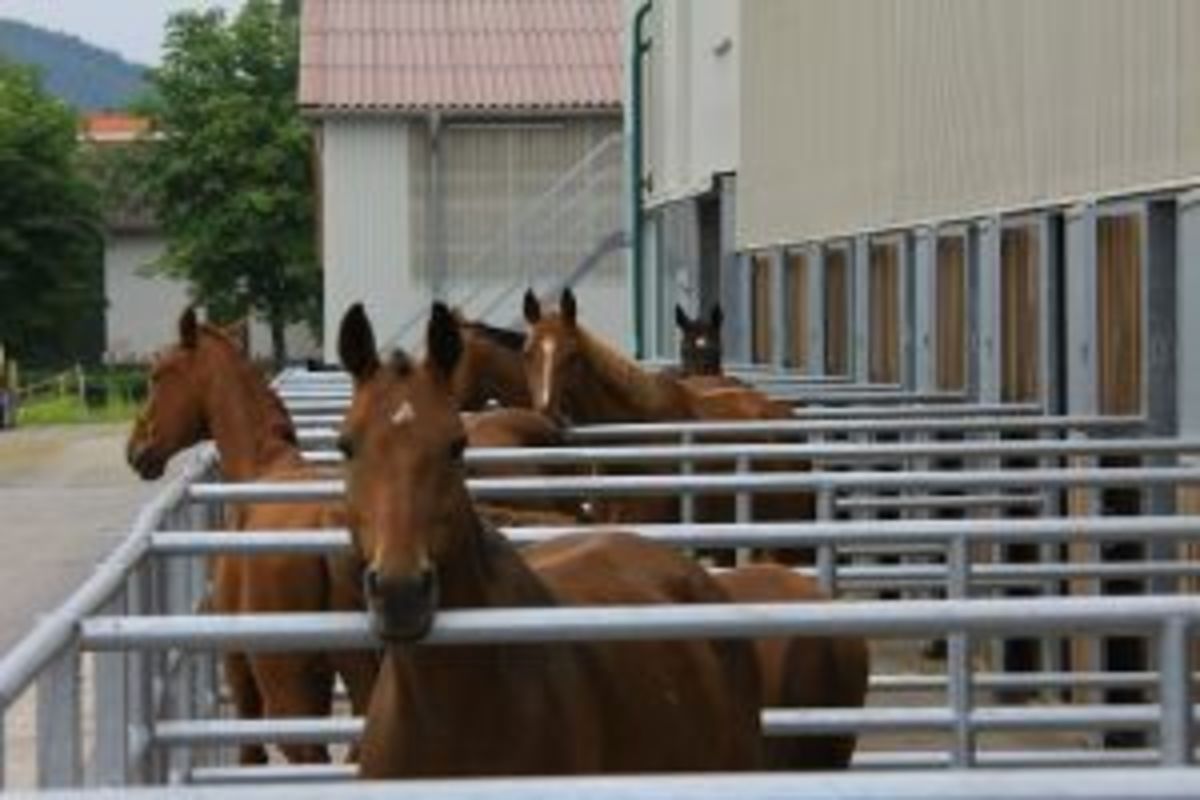 fb2de027828fd578ef914aa2310c844c_1200_1200_0