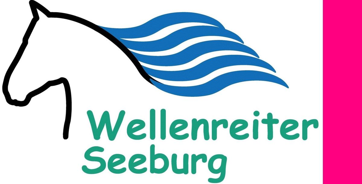 Wellenreiter Seeburg